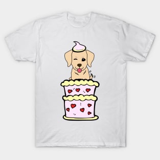 Retriever dog Jumping out of a cake T-Shirt